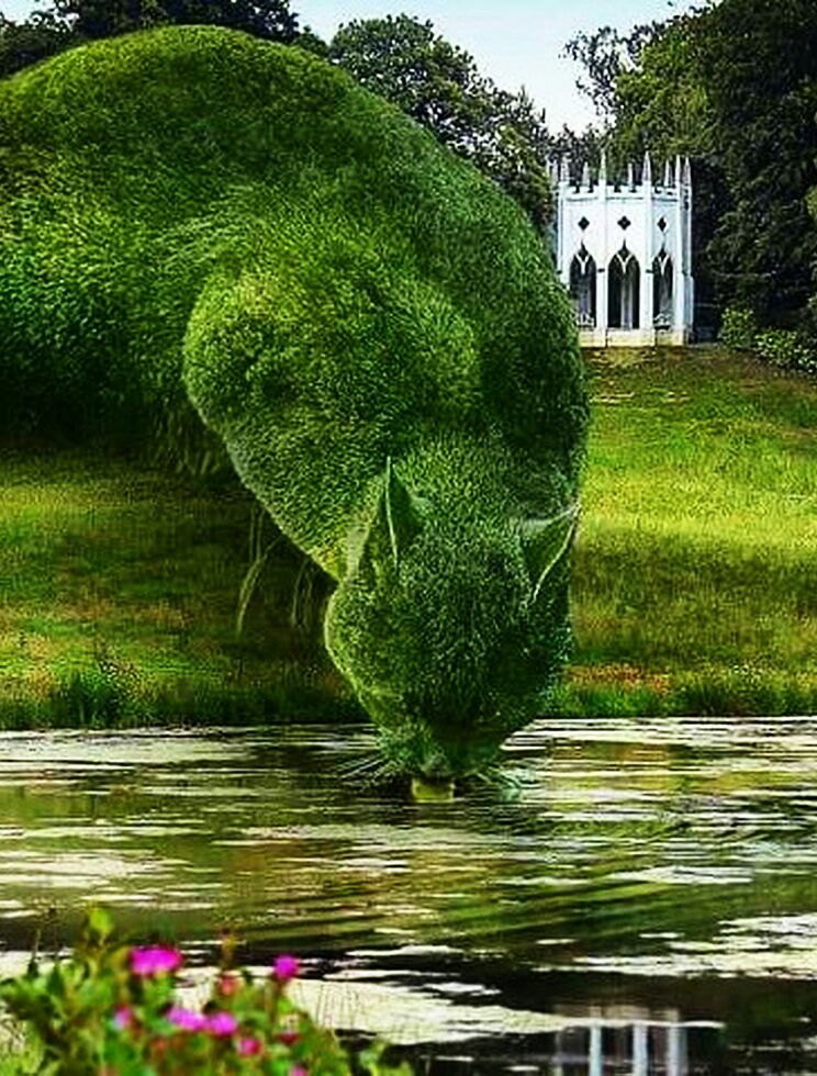 GRIGORII (@apcas666) on Twitter photo 