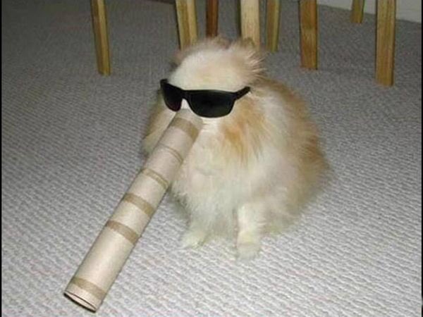 garyfromteenmom's tweet image. don't👏claim👏you👏like👏jazz👏if👏you👏dont👏know👏who👏this👏is👏