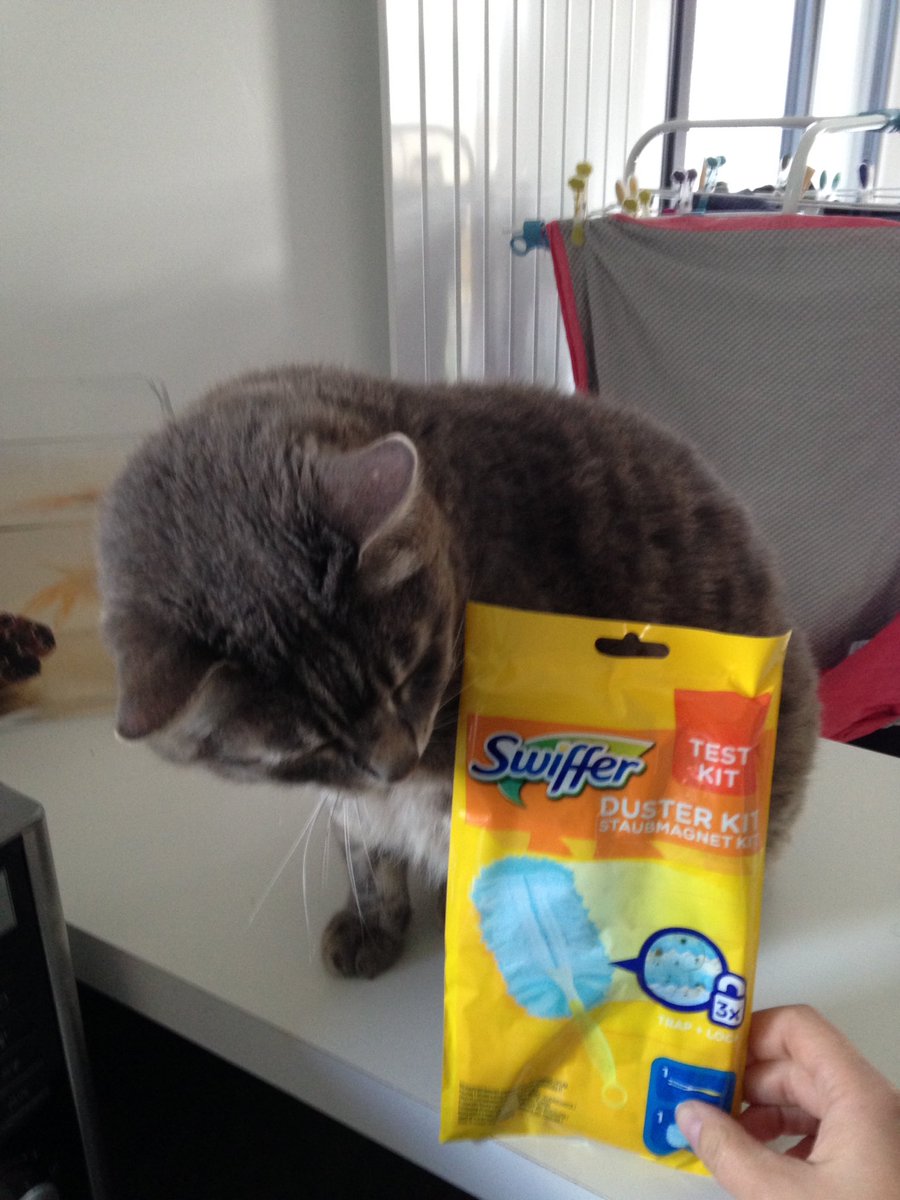mar59330's tweet photo. C'est bon elle va arrêter de raler à cause de mes poils #swiffy https://t.co/xsdpcXdmu1