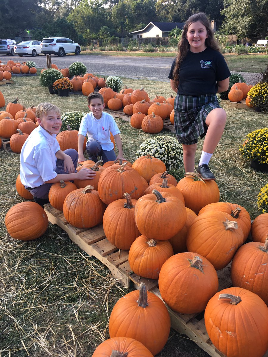 ClarkShawRobotx's tweet photo. @ClarkShawRobotx students volunteering at DWUM pumpkin patch! #CMSrobotics https://t.co/lCMO5KNg6Q