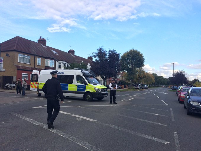 View image on Twitter