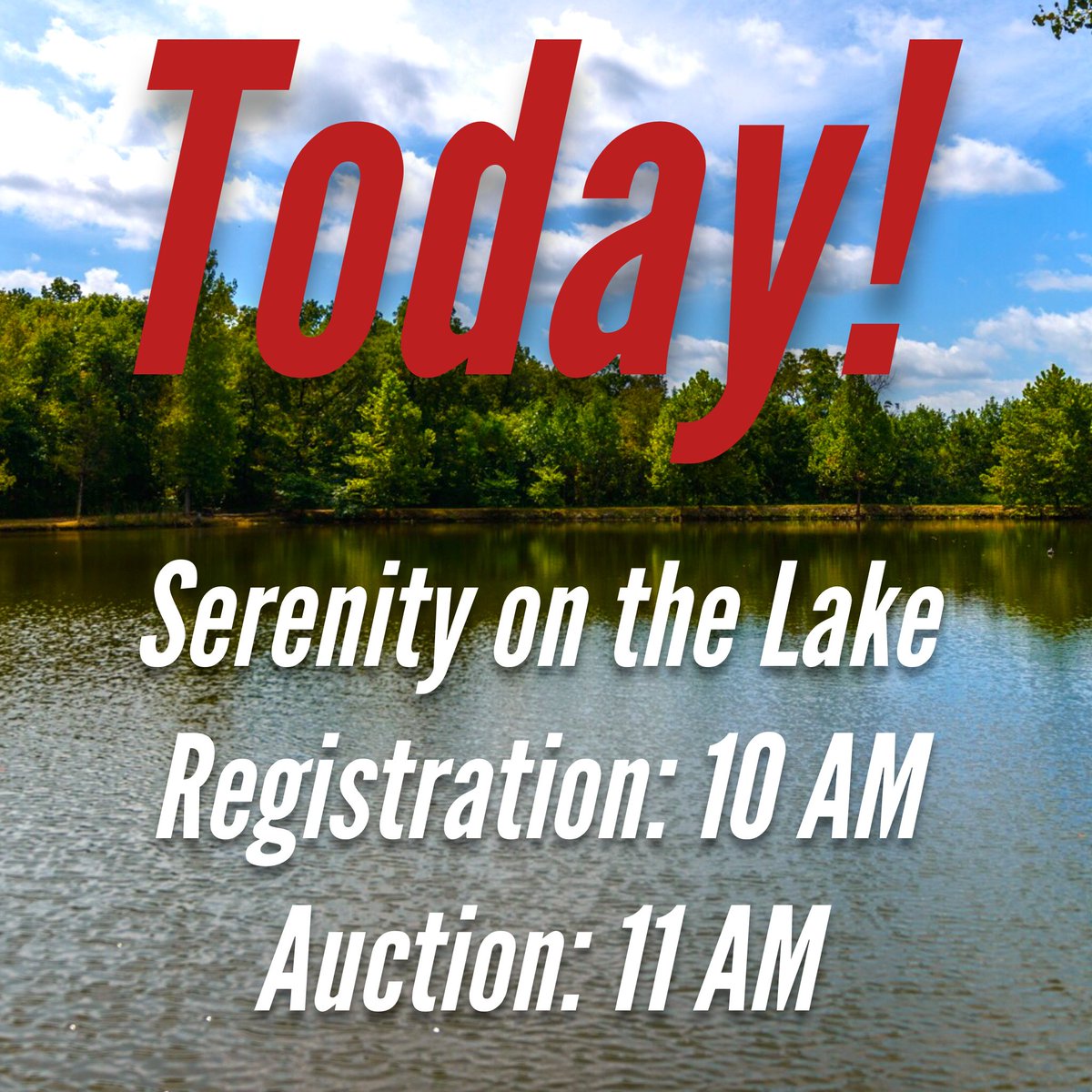 BARIGBY_Auction's tweet image. The countdown is over! The Serenity on the Lake auction starts at 11 AM! Check buff.ly/2eq9AM3 for directions! #RealEstate #Luxury
