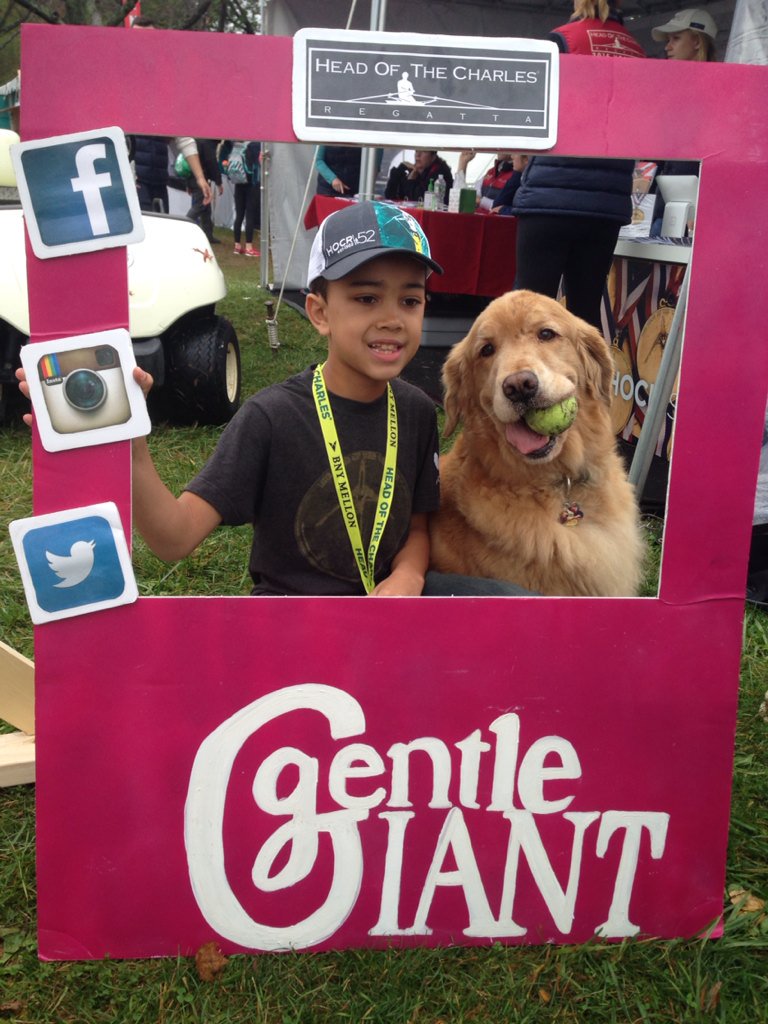 HOCRDog's tweet photo. I'm a @gentlegiantmove dog! https://t.co/QVBSN1bzXb