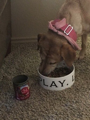 typicalfemale26's tweet image. You really can See the difference. #ONEdifference #FreeSample landing.smiley360.com/landingpage147…