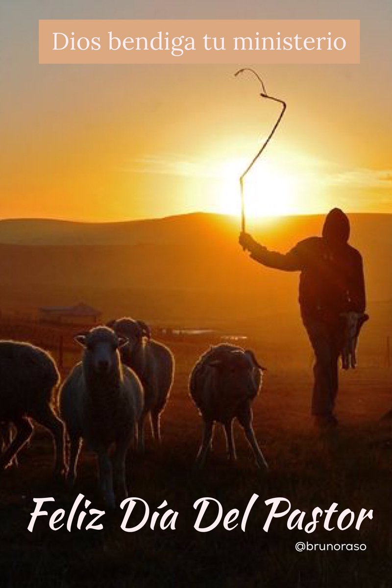 Bruno Raso Ar Twitter Apreciado Pastor Q Dios Bendiga Tu