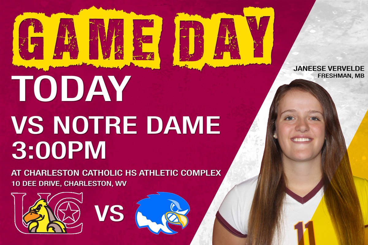 UC Women's Volleyball on Twitter stay WARM with us in a gym