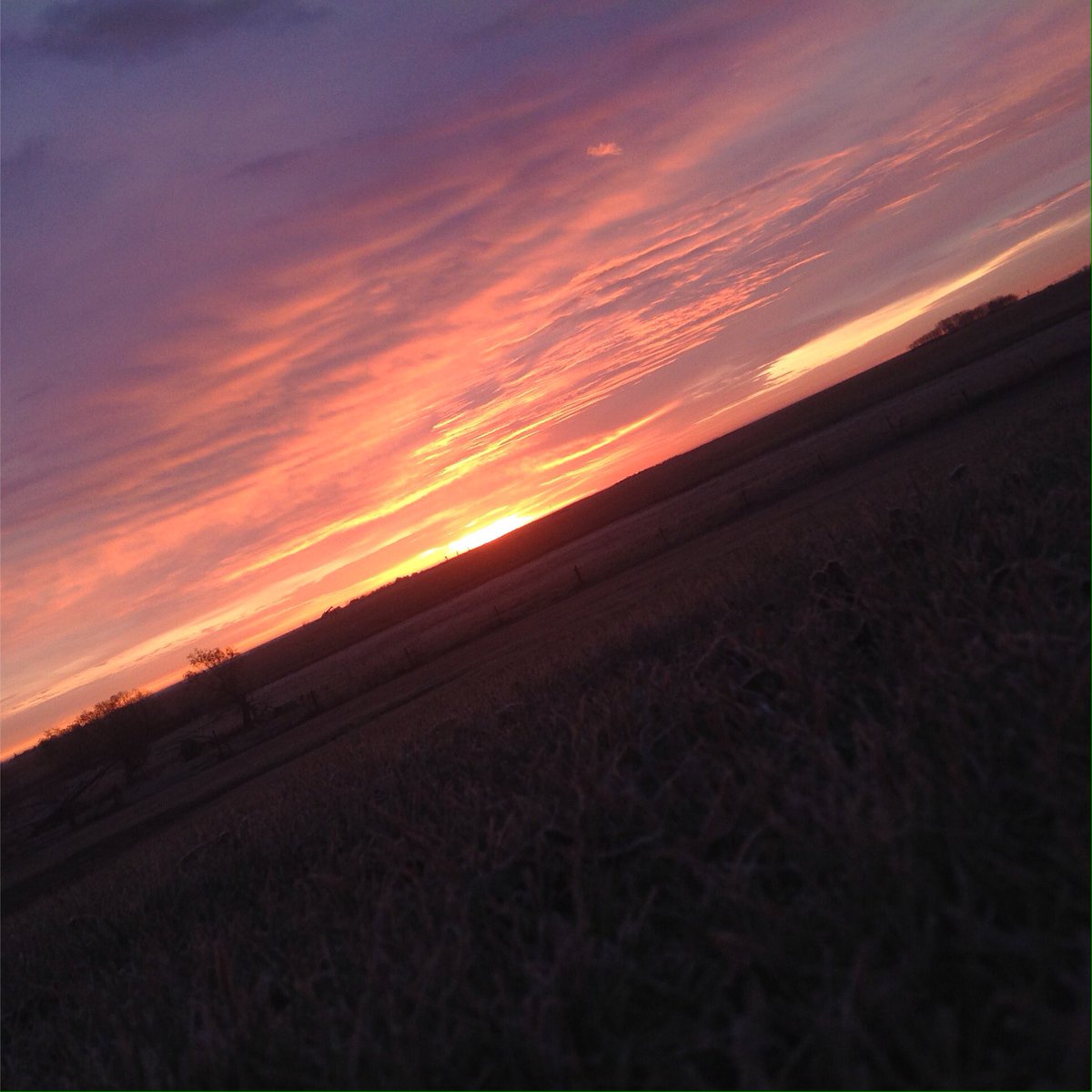 jnaylen's tweet photo. Beautiful #fallsunrises in #SESask #MakeADifferenceDay https://t.co/SL8MXUMkKG