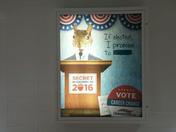 ClearanceJobs's tweet photo. Vote for the right career change.
Vote for #SecretSquirrel2016. https://t.co/wepC9Vuxng