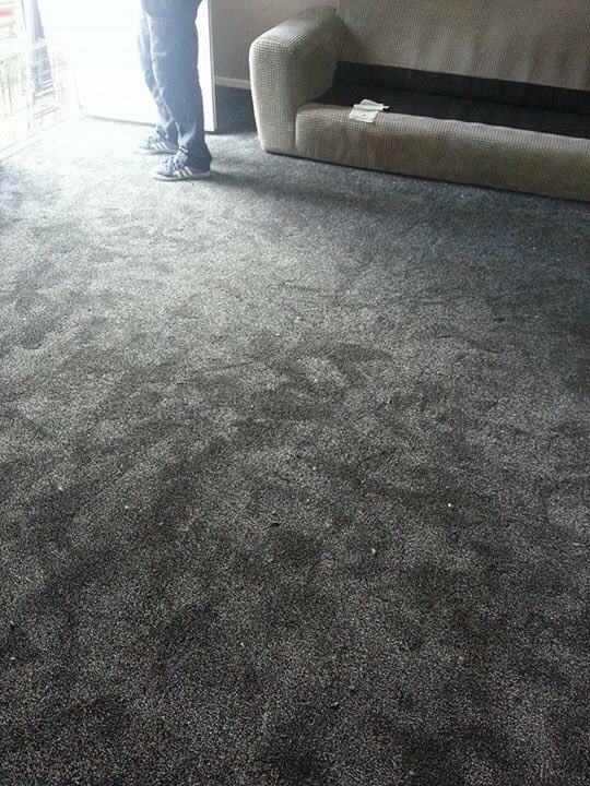 PayWeeklyCarpet's tweet photo. Some photos of our local fitter Chris and his team doing a lovely job for another happy customer! #PayWeekly #carpet #Hull #EastYorkshire https://t.co/uMf6pUzkxU