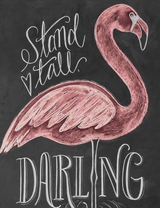 ShahaniKshahani's tweet photo. Manten siempre la frente en alto como los flamingos. #pinkflamingo #StandTallDarling https://t.co/YfpSKQvqvv