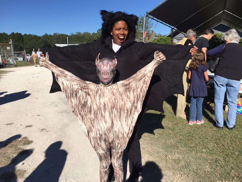 BatConservancy's tweet photo. This is Joshua Radcliffe and he is officially our biggest fan! #wearyourpassion #batfest2016 https://t.co/TtpO1c9Lgw