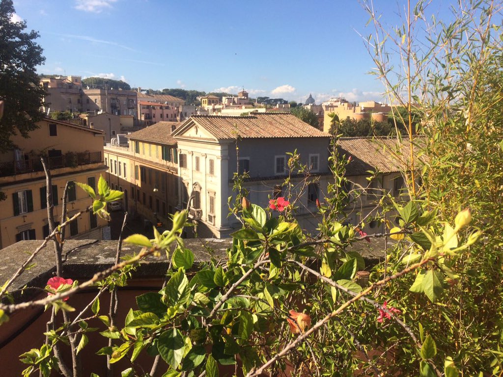 TeamLookals's tweet photo. Ever wondered how a #local #experience looks like? 😉 #lookalsexperience #Italy #startup #travel #bloggerswanted https://t.co/OkZ1yp9Kas