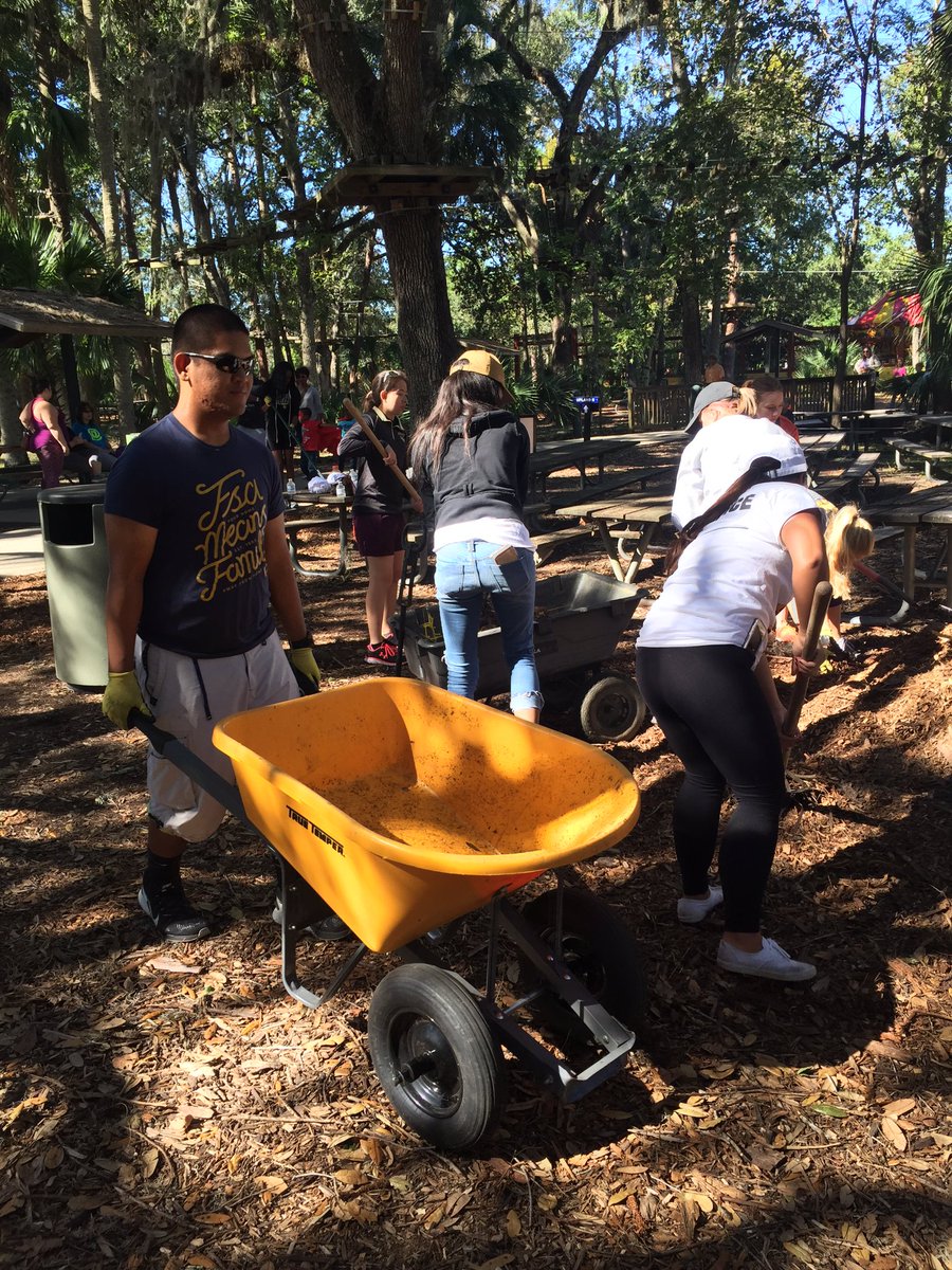 vucf_arts's tweet photo. #ServiceIs Landscapingπ #KGB https://t.co/siGqVeLdW7