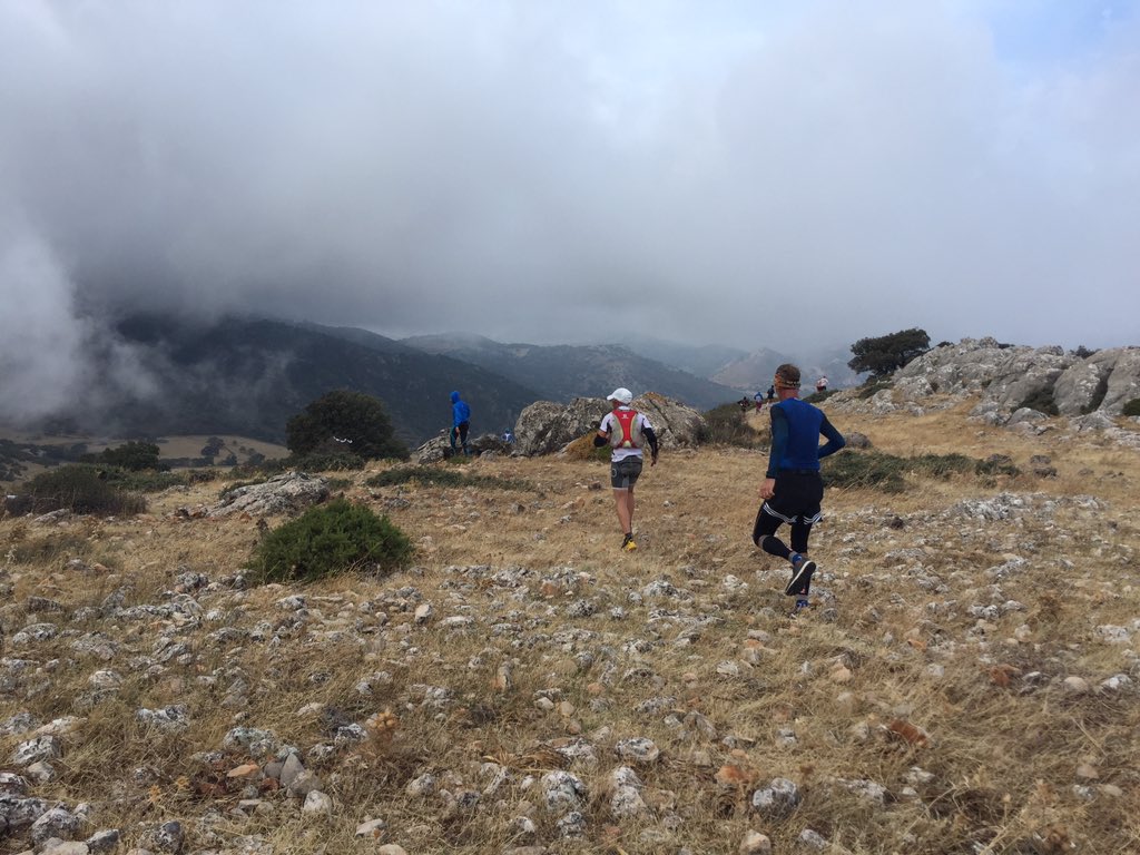 dmaesdmaes's tweet photo. #trailrunning between olive trees in #andalucia #chamizo #chamizito #villanuevadelrosario https://t.co/7ocwk2JfXt