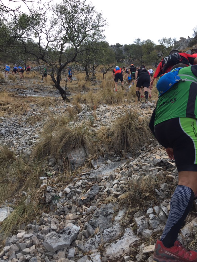 dmaesdmaes's tweet photo. #trailrunning between olive trees in #andalucia #chamizo #chamizito #villanuevadelrosario https://t.co/7ocwk2JfXt