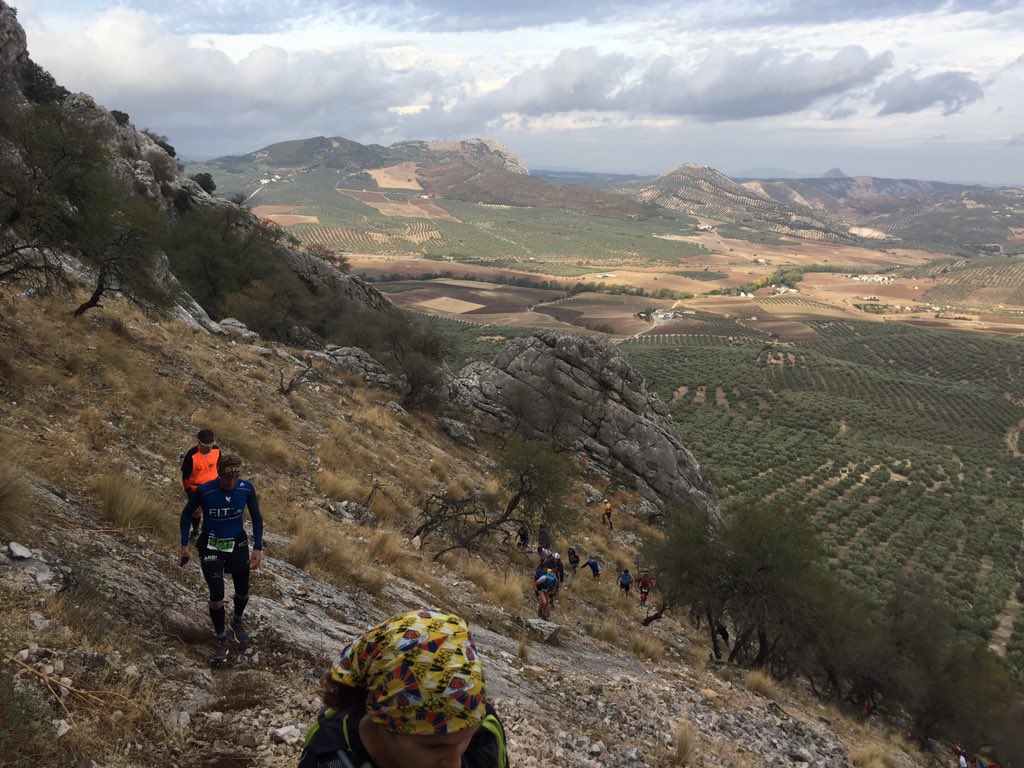 dmaesdmaes's tweet photo. #trailrunning between olive trees in #andalucia #chamizo #chamizito #villanuevadelrosario https://t.co/7ocwk2JfXt