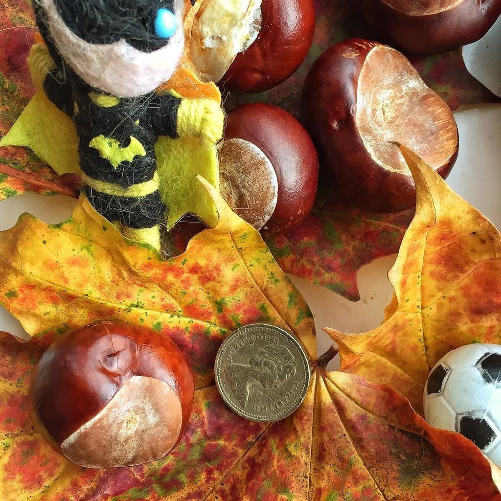 Joolzephoto's tweet photo. Today's walk. #thingsifindwhenwalking #conkerhaul #golddoubloon #autumnleaves #footballfor… https://t.co/SE6mo80iai https://t.co/ML3RuafkQx