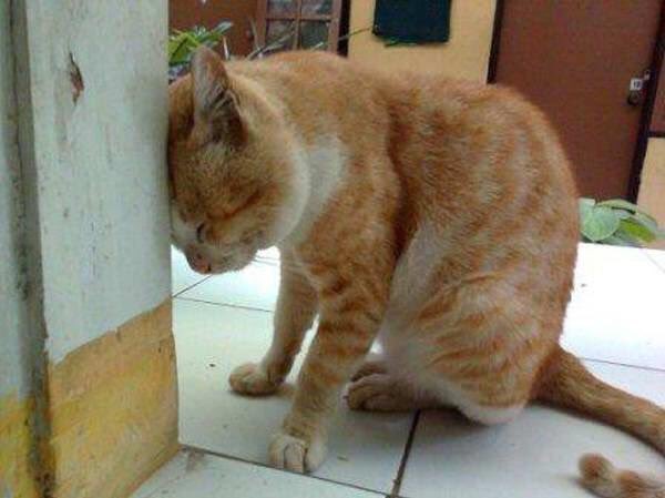 twitmarhaen's tweet photo. Bila teringat semua benda bodoh yang kita pernah lakukan sebelum ni https://t.co/8a845UDBP5