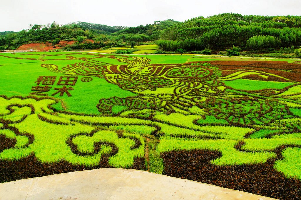 Beautifulgx's tweet photo. #Binyang Ancient Town of Nanning found a huge paddy painting "#MonkeyKing" true to life,is the first rice paddy painting in Guangxi of China https://t.co/o68najYUmf