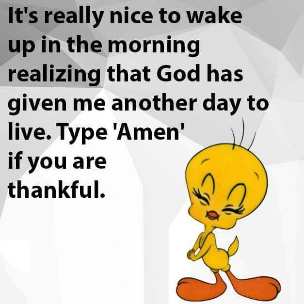 flyasmooth56's tweet image. Amen