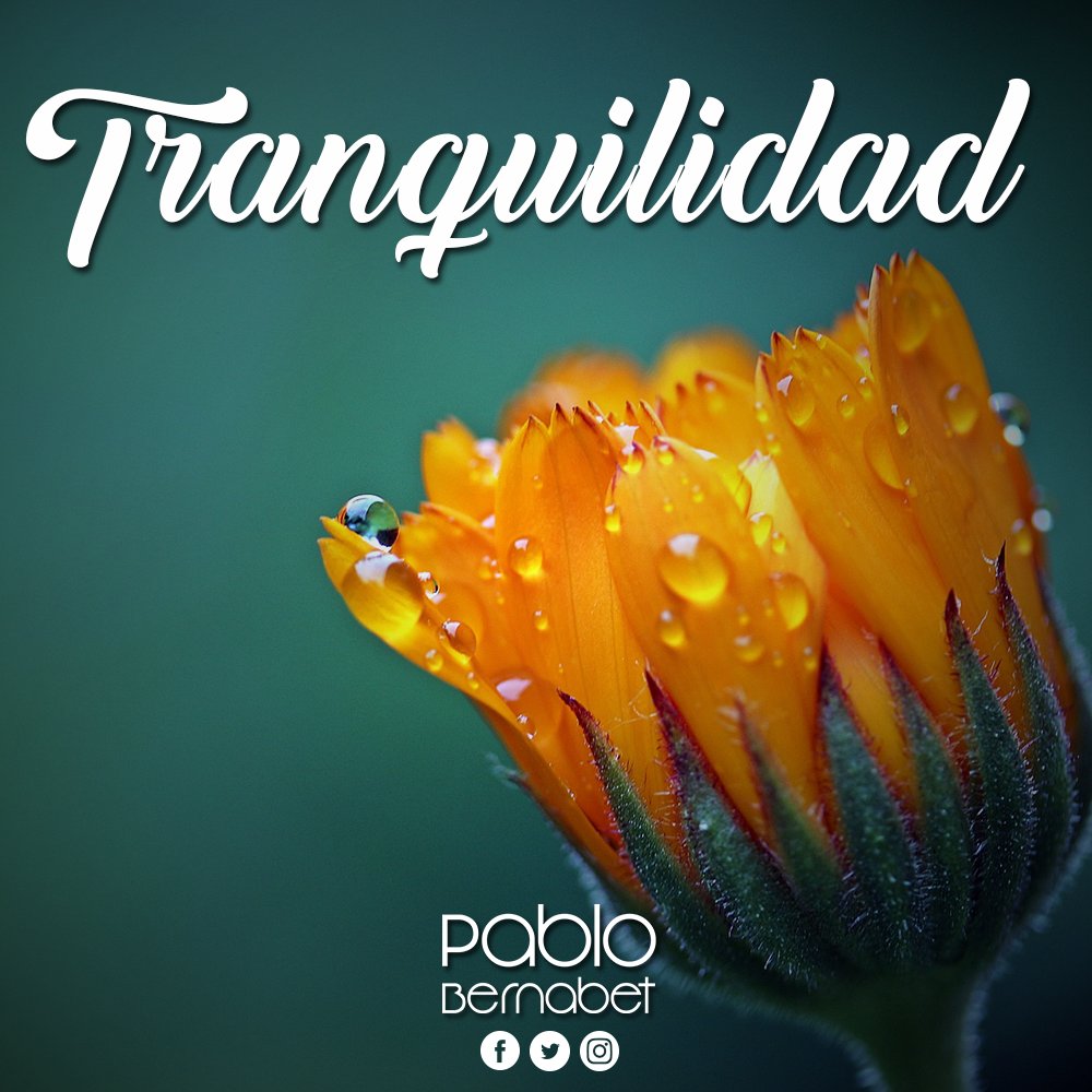 La paciencia es una virtud. Permanece tranquilo y mantén tu fe en Cristo, que pronto llegarán bendiciones a tu vida. #PabloBernabet #Dios