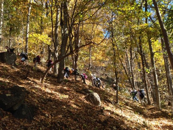 CHCNexus's tweet photo. Girls head to front for the infamous .8 to the summit #settingthepace #groupdecision #CHCOLS17 https://t.co/TPH2d74jCJ