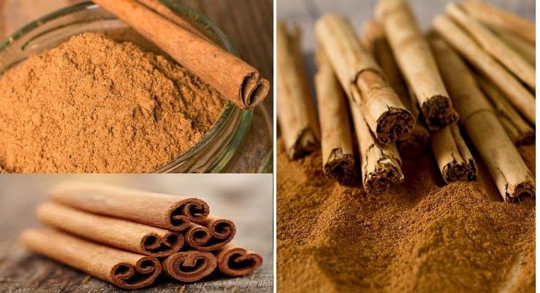 salsilver2's tweet image. Can you tell the difference between #TrueCinnamon and #Cassia Cinnamon? Your #Healty choice would be on the right this #saturdaymorning