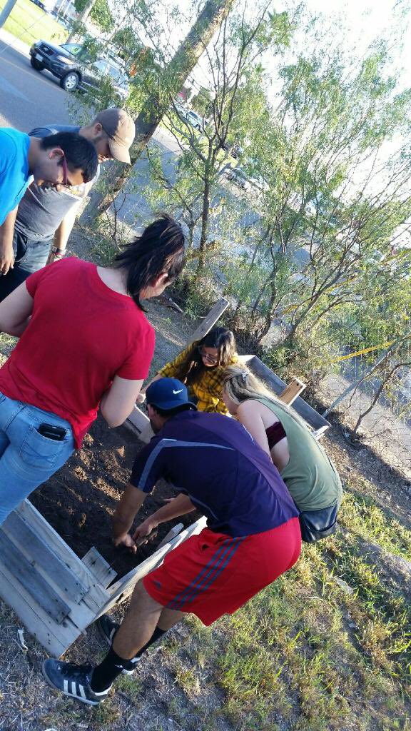 RGV_UMSM's tweet photo. #Gardening #umsm #utrgv 🍃🌿 https://t.co/Qkm0l2g5rF