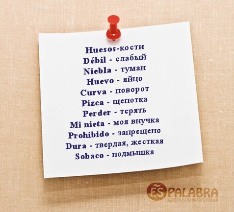 mstbescared's tweet photo. учите испанский, ребята, иначе вы многое perder https://t.co/zr0cOFNJjH