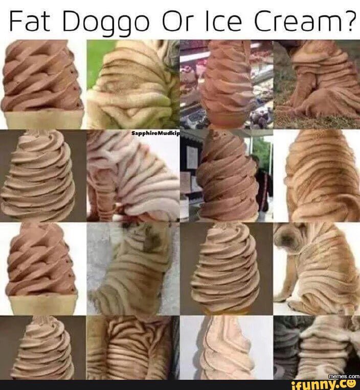 Jet Mathew Hoffman (@jethoffman) on Twitter photo 