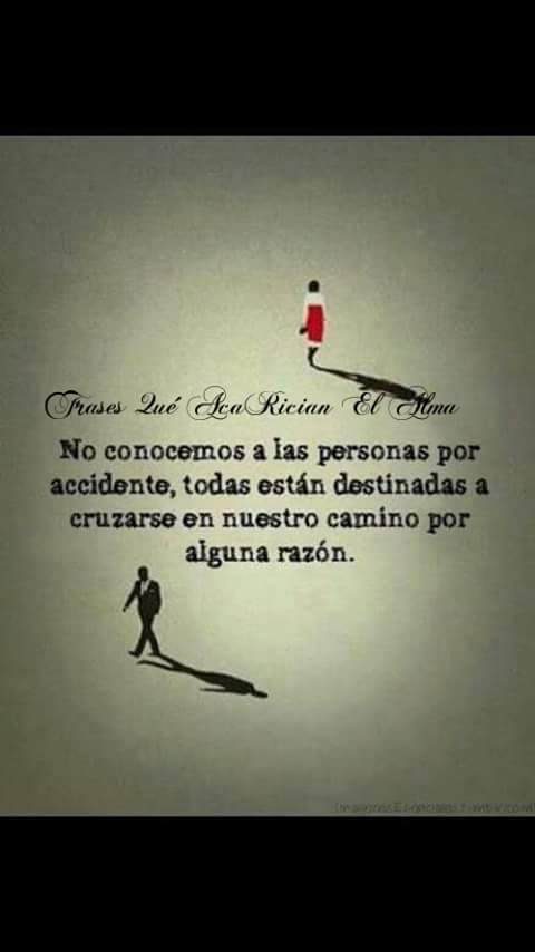 CruzRoshi tweet picture