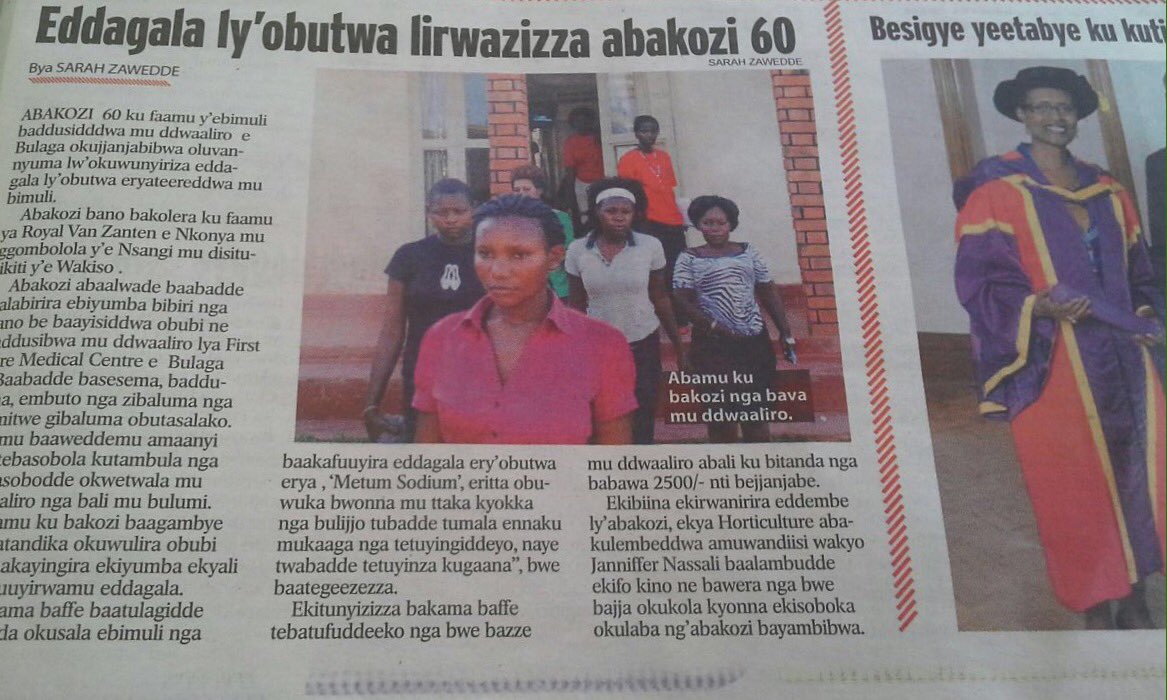 SarahBireete's tweet photo. 84 Women Woking on Royal Van Zanten flower farm affected by chemicals on being forced to enter greenhouse after spraying #WomenWorkersRights https://t.co/TdCfHTObbe
