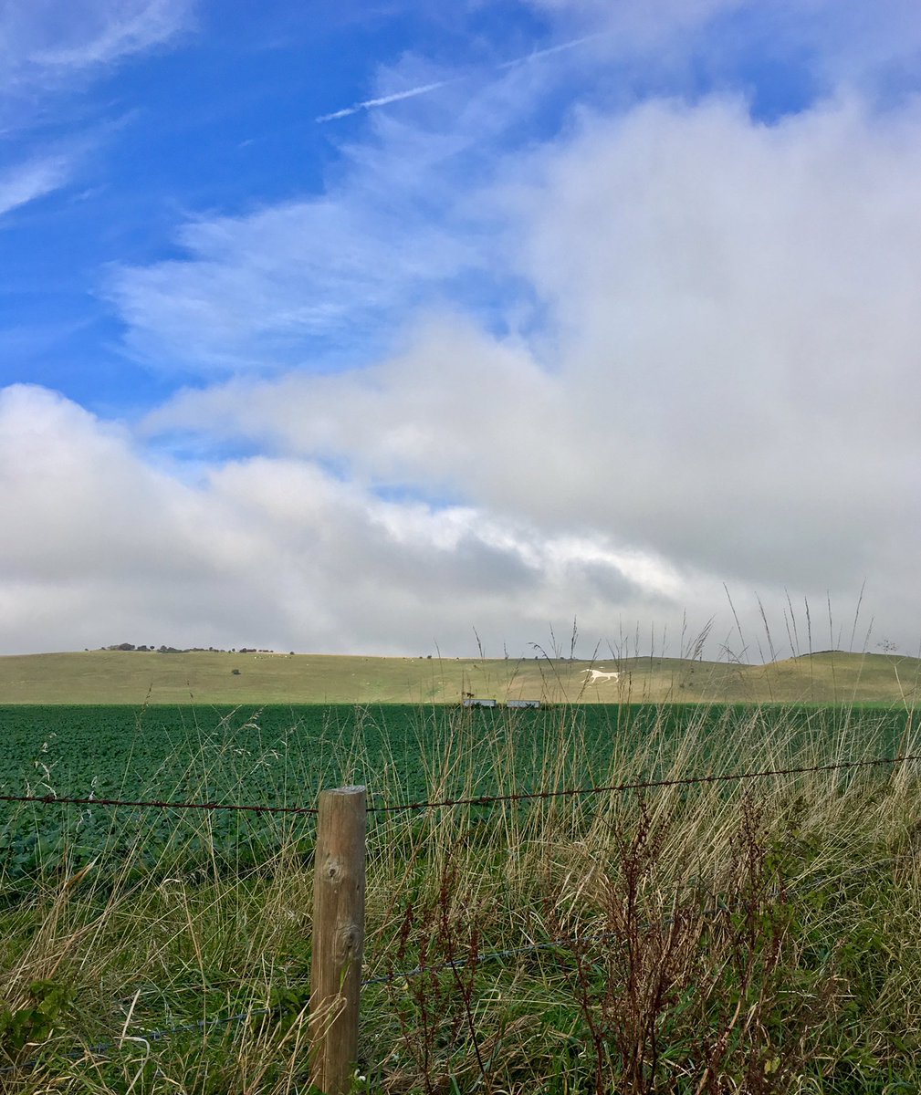 rpattins's tweet photo. #whitehorse #countrysidedrive #wiltshire https://t.co/i0GSrSQFfS