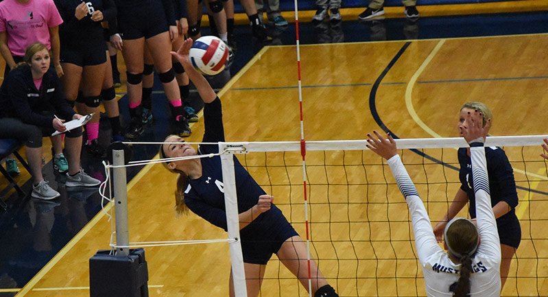 ClarkeAthletics's tweet photo. Heart WVB matchup at the Kehl Center. 2 p.m. vs. @GUjackets. #OehmenintheHouse Live: https://t.co/Mfc8Ftrp1h https://t.co/giTSMxT6JB