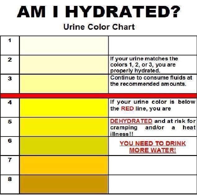LF4DR's tweet photo. #Dehydration is very common in #Dysautonomia #DysautonomiaAwarenessMonth #questforacure #fluids #IVfluids #research #cure #LF4DR #awareness https://t.co/G6QtU6nOpH