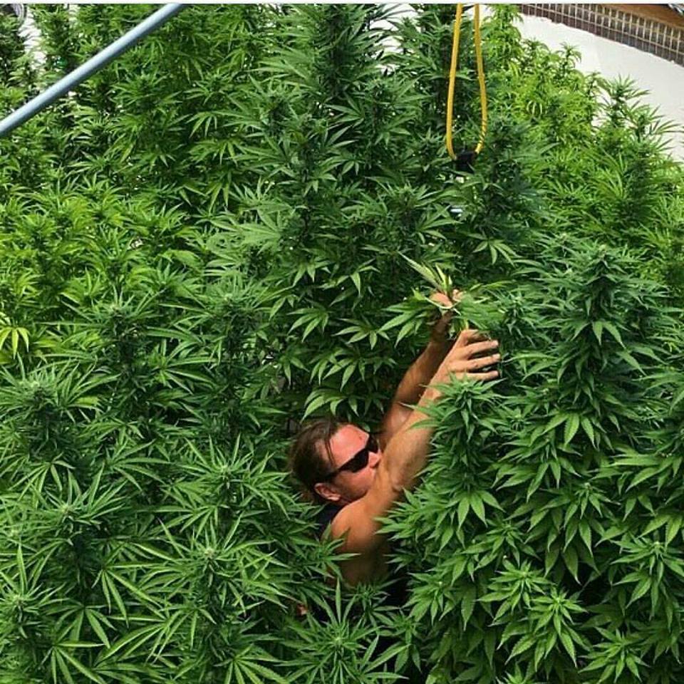 GeniusPothead's tweet photo. Mom: "What are your dreams &amp; goals??"

Me: https://t.co/FzMmSzX7uD