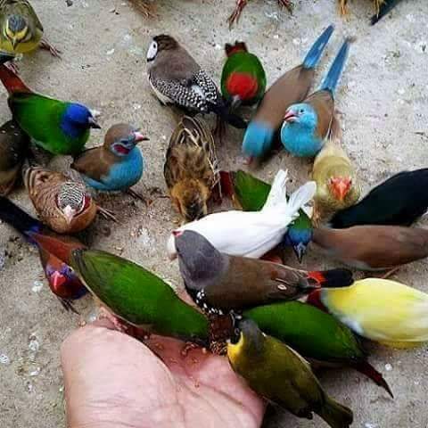 SayedFathe1's tweet image. 