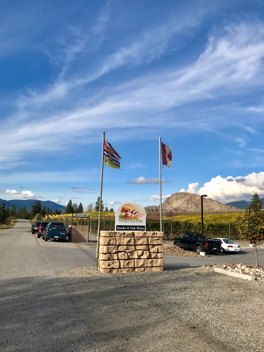 Christinianity's tweet photo. 5th winery #birthdaywinetourextravaganza (@ Wild Goose Vineyard and Winery) https://t.co/eE5LE6ViZ4 https://t.co/dX8DIru86d