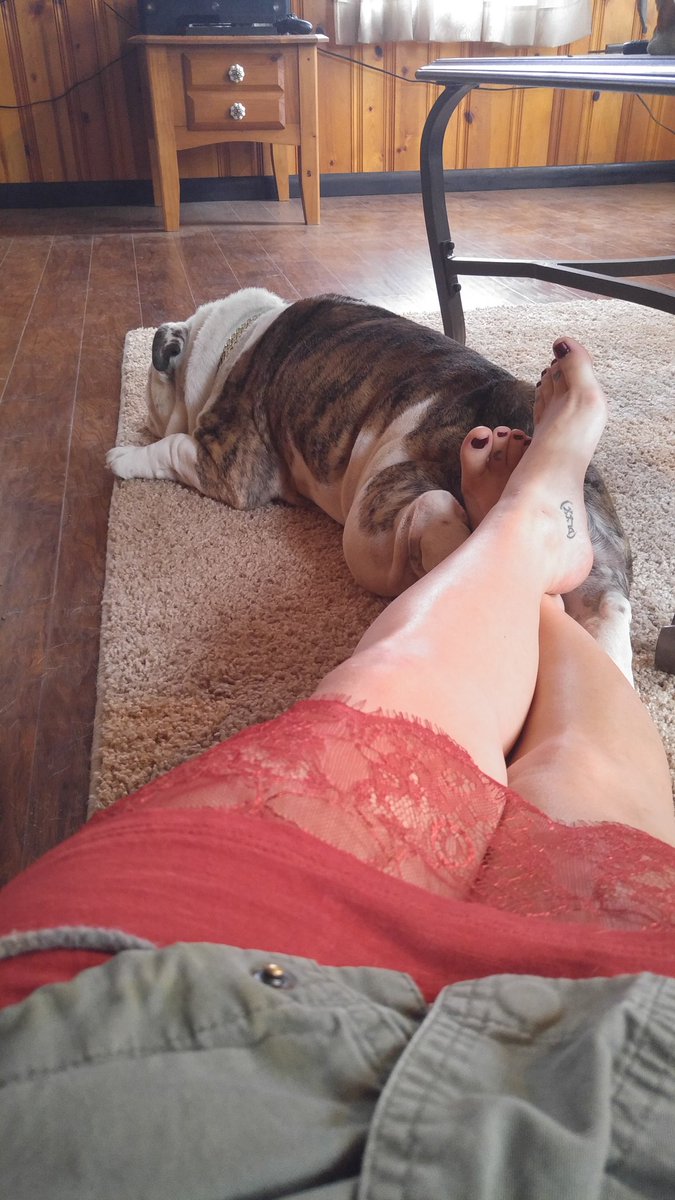 jamsicle_'s tweet photo. Best part of coming home. https://t.co/SYKuhw0Tkm