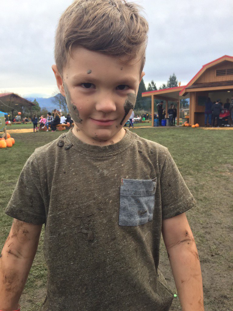 Chilliwack Corn Maze tweet media