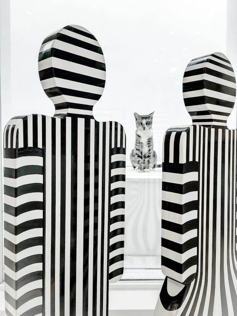 This kitten has been standing still opposite my "Chi" sculptures for hours.