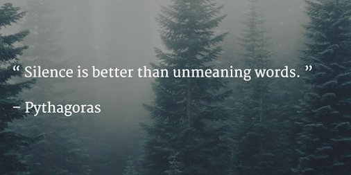 TinaStaleyLCSW's tweet photo. “Silence is better than unmeaning words.” - Pythagoras #LearnToPause https://t.co/bJLVrndr2s