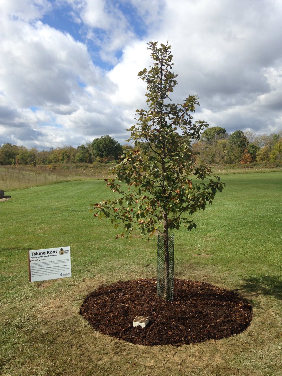 greatparks's tweet photo. #100kTree #pride #savingtheplanet #conservation #parks Feel free to add your own #! https://t.co/1Ji4tuhflf
