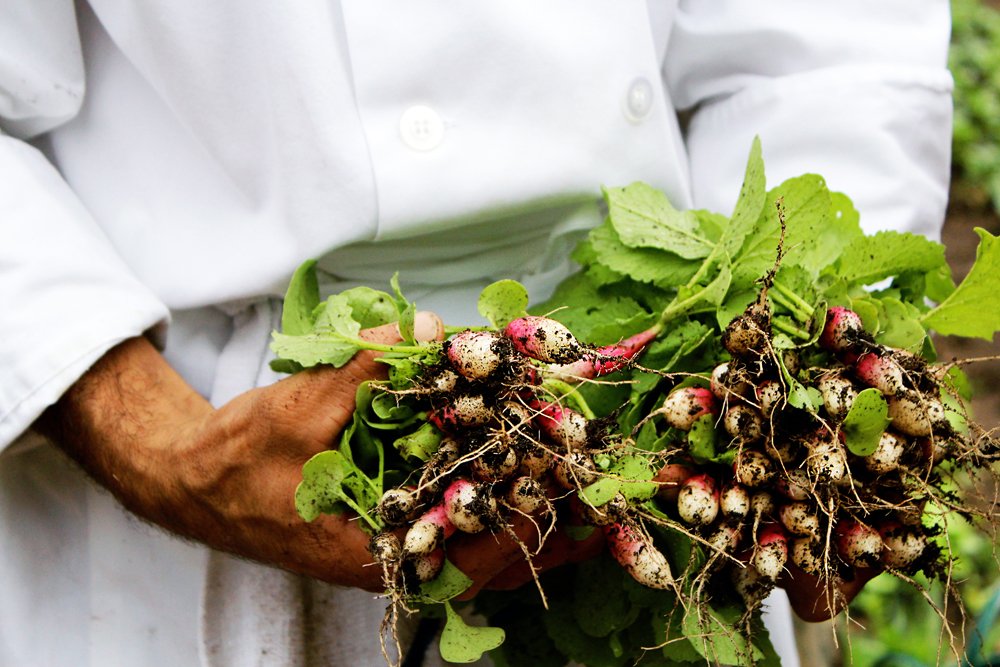 LosPoblanosInn's tweet photo. Only a few seats left for our #Fall #Harvest Dinner! Are you joining us? https://t.co/FIHQITmlCF #abqtodo #nmture https://t.co/tv7MOcr7UR