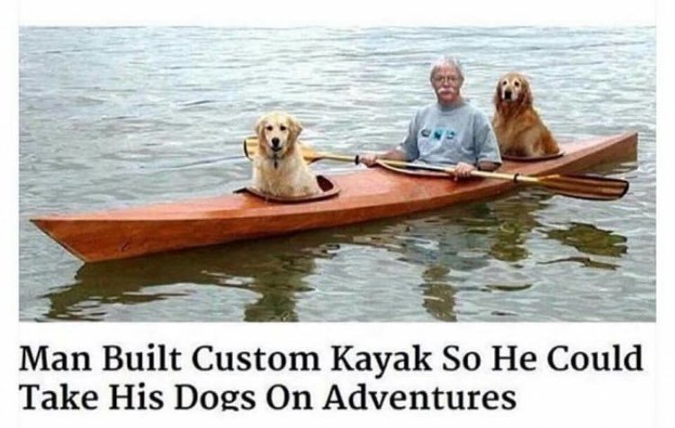 StumblerVideos's tweet photo. "where do you see yourself in 10 years?" https://t.co/6CWUF9iiVe