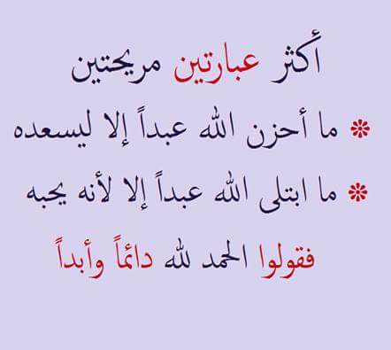 Mostafa1983Ms tweet picture