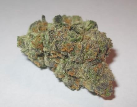 MJHolistics's tweet photo. New: Key Lime Cookies  Indica This super frosty and amazing strain is our newest Indica. Smells of minty freshly baked bread.
60-100-180-300 https://t.co/Db6zrOmFsW