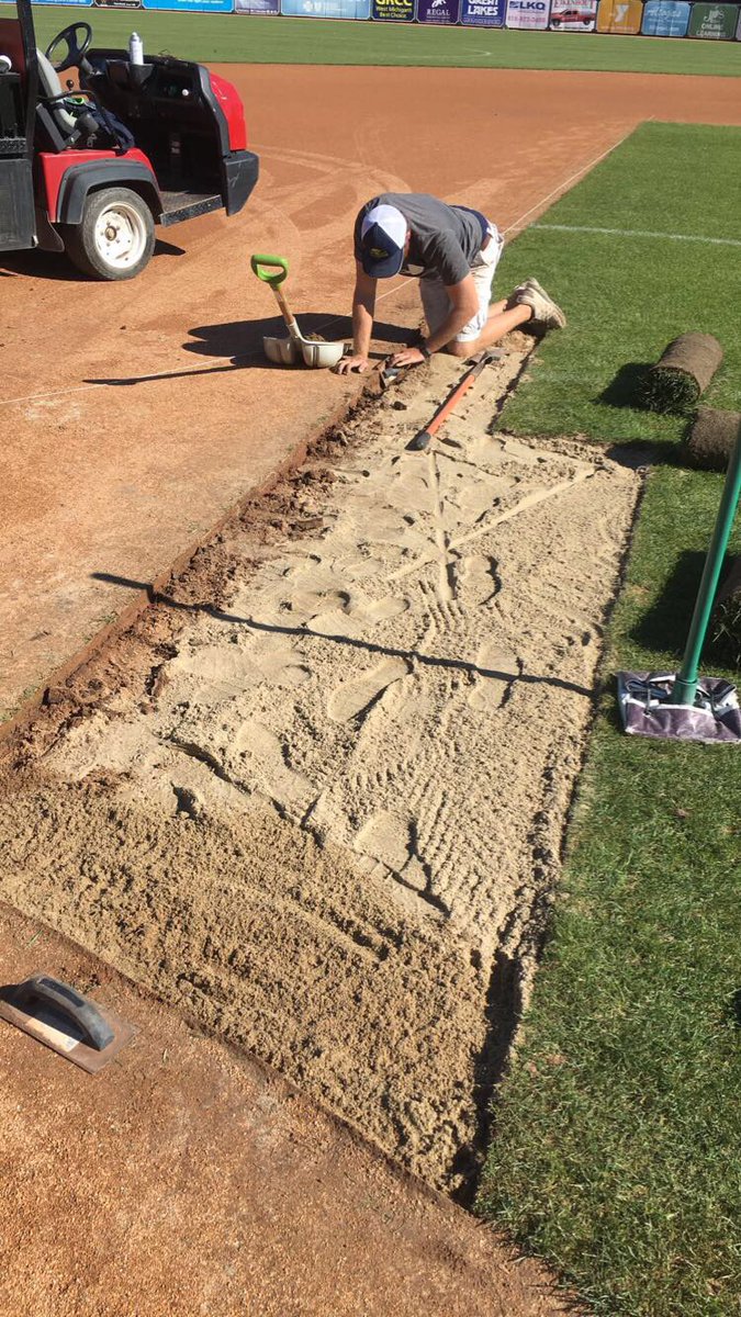 WhitecapsGCrew's tweet photo. Spent the last week and a half resoding our wear areas after baseball, football and soccer. Mound and replacing the warning track is next! https://t.co/tzOnuifICj