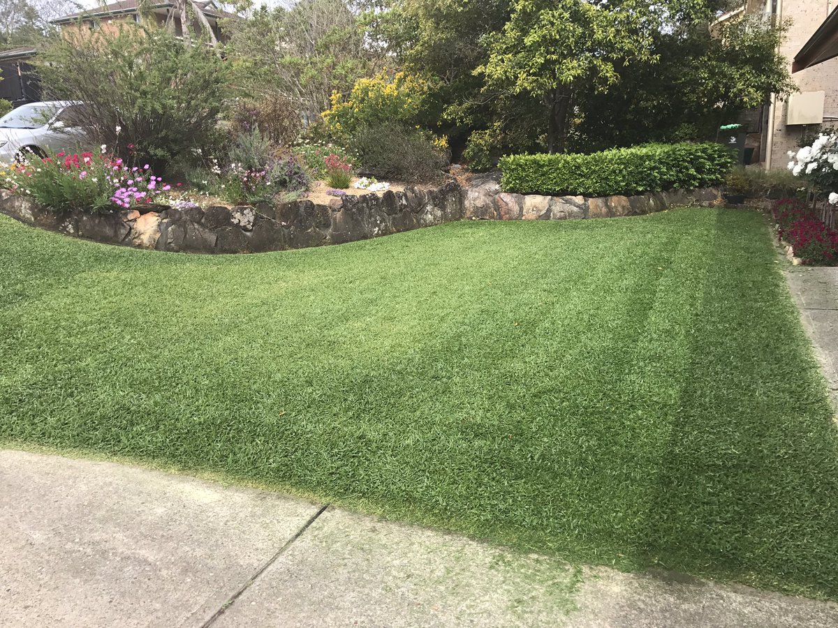 jezza_nastyjvc's tweet photo. Morning all- look after your lawn #neutrog #ecoseaweed https://t.co/SgdBVra8lp
