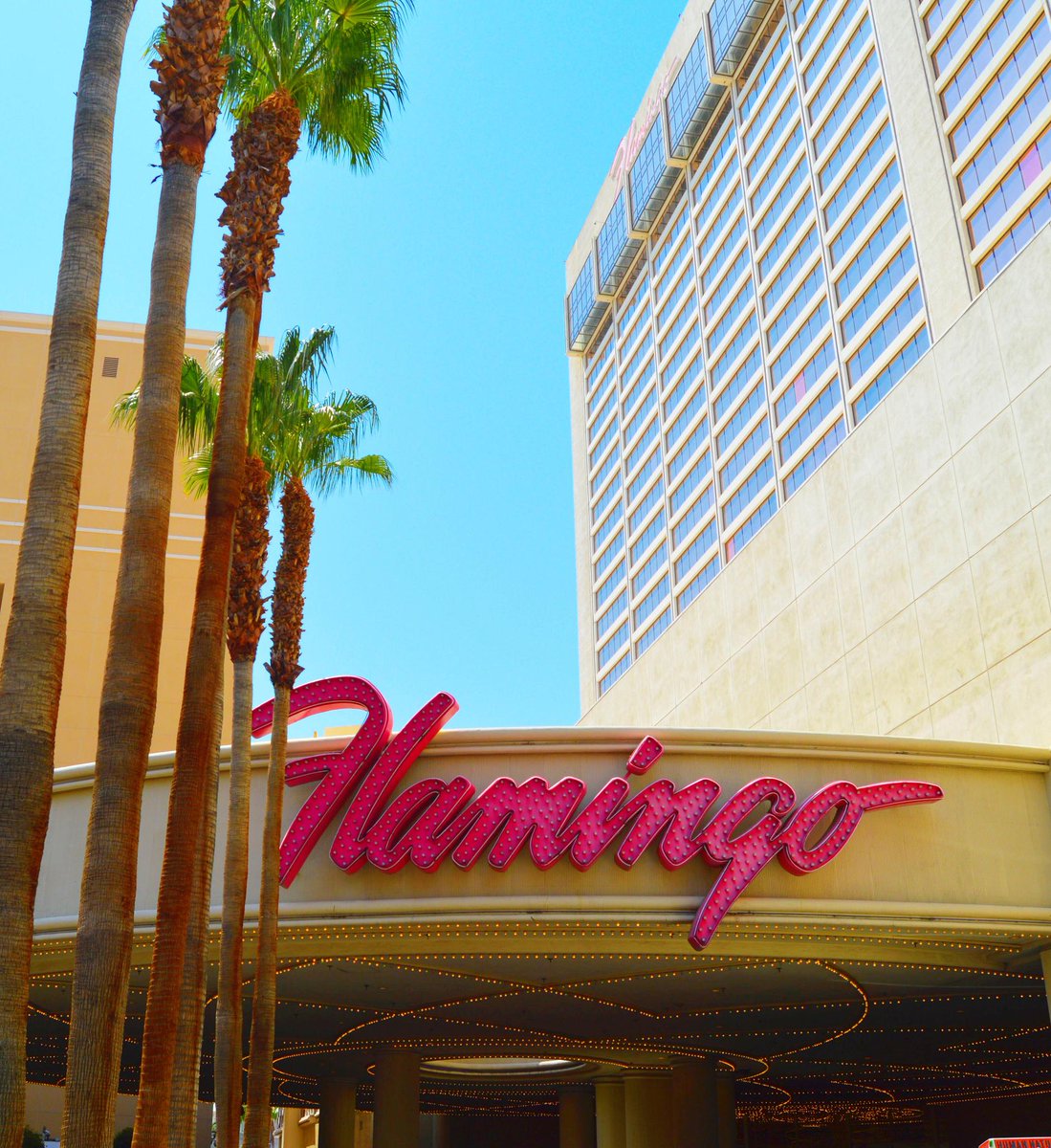 Flamingo poker room